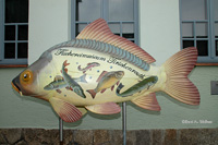 Überdimensionaler Karpfen vor Eingang zum Fischereimuseum Tirschenreuth