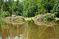 Der idyllische Schlossgarten