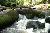 "Das Butterfass" im Waldnaabtal